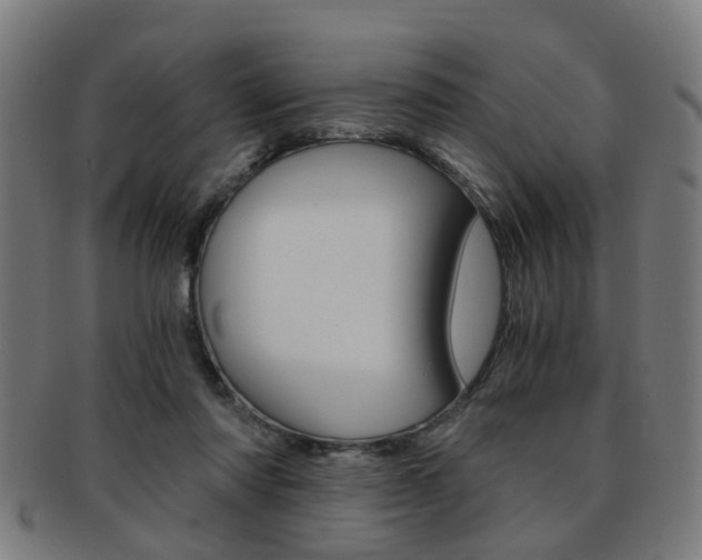 X0000091900310200709051109
