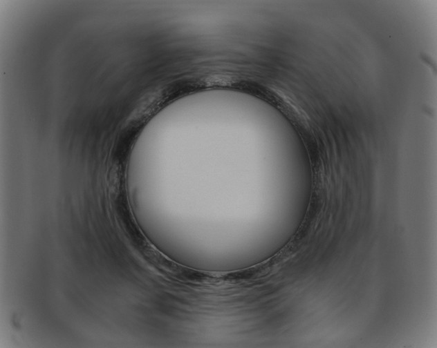 X0000091900311200709051109