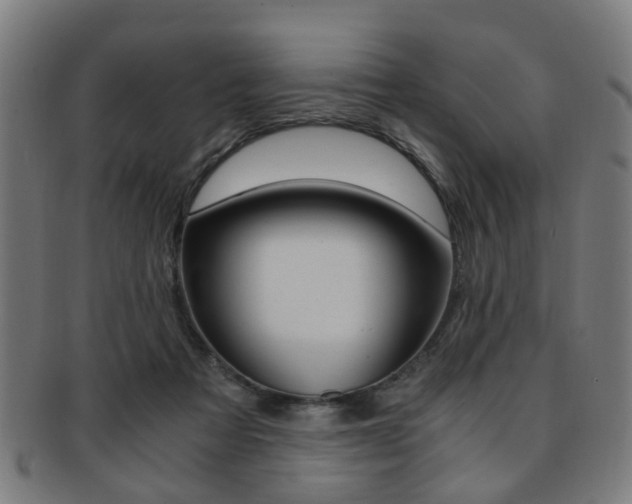 X0000091900313200709051109