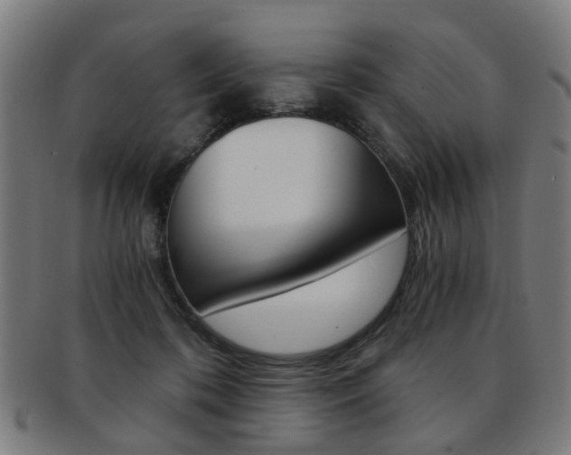 X0000091900316200709051109