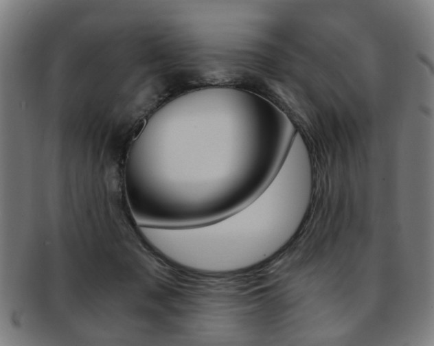 X0000091900317200709051109