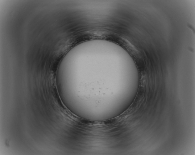 X0000091900318200709051109