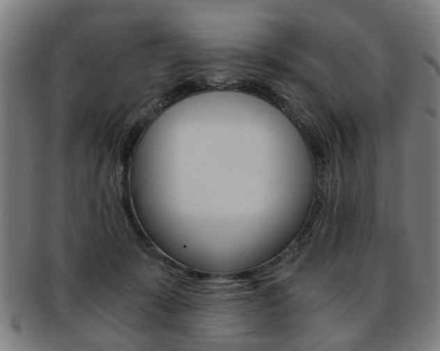 X0000091900319200709051109
