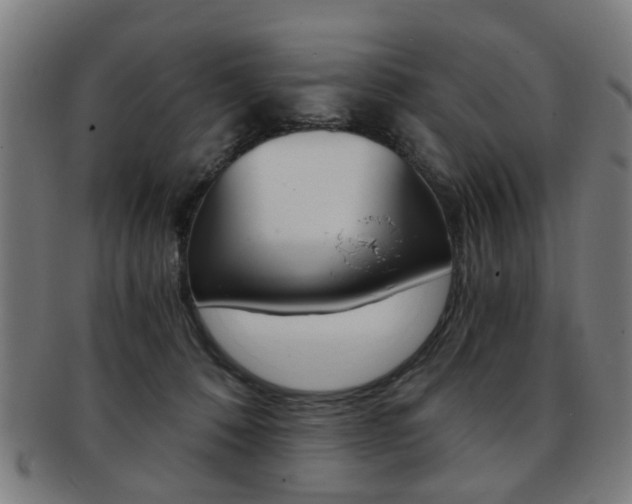 X0000091900320200709051109