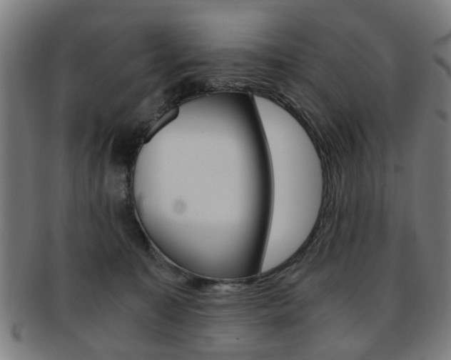 X0000091900323200709051109