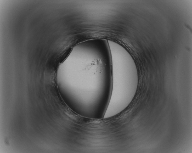 X0000091900325200709051109