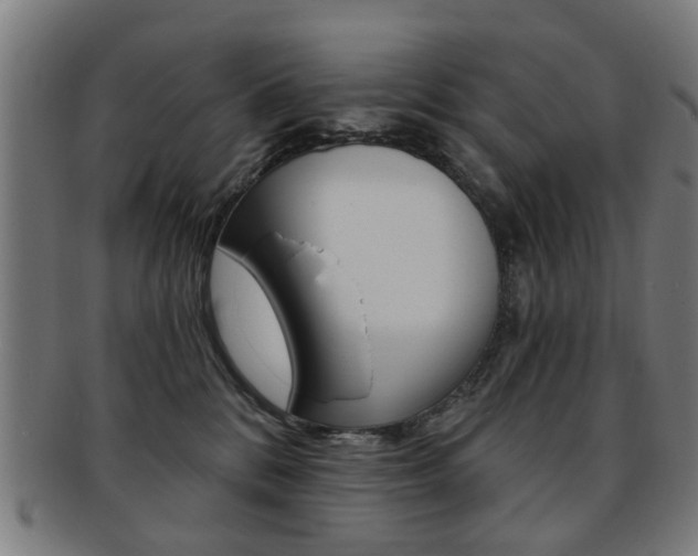 X0000091900328200709051109