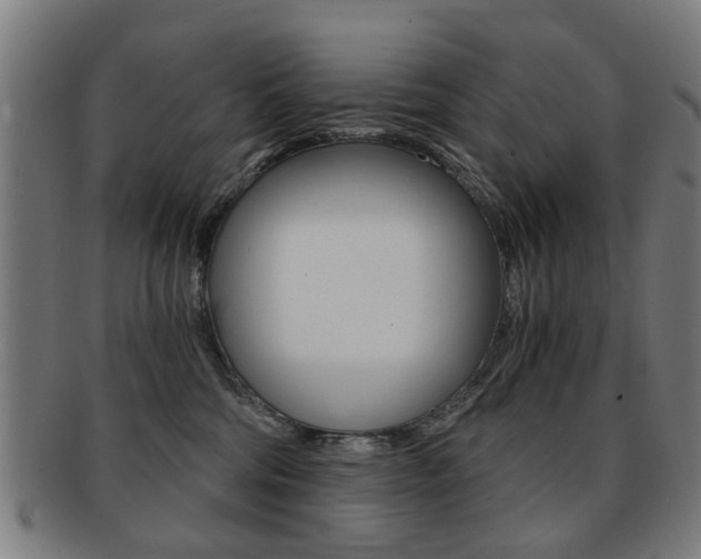 X0000091900330200709051109