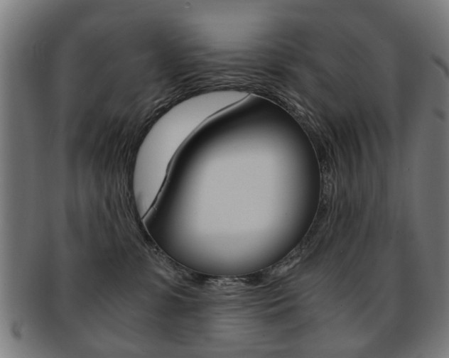 X0000091900331200709051108