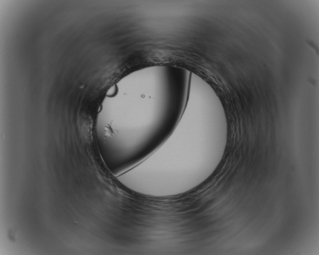 X0000091900332200709051108