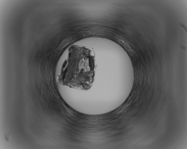 X0000091900333200709051108
