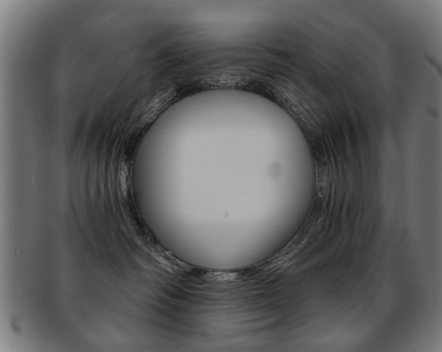 X0000091900334200709051108