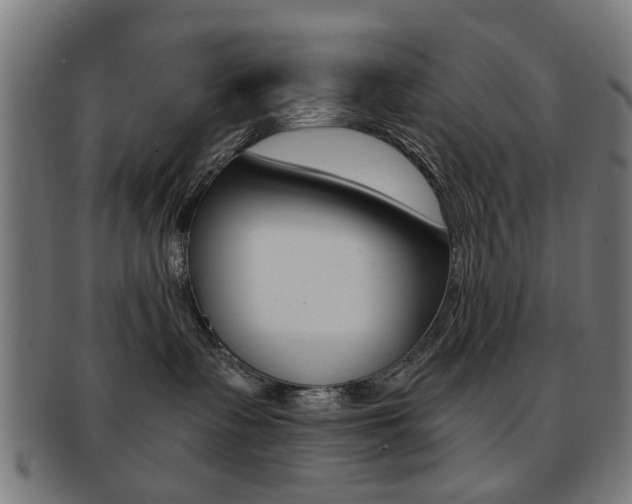 X0000091900335200709051108