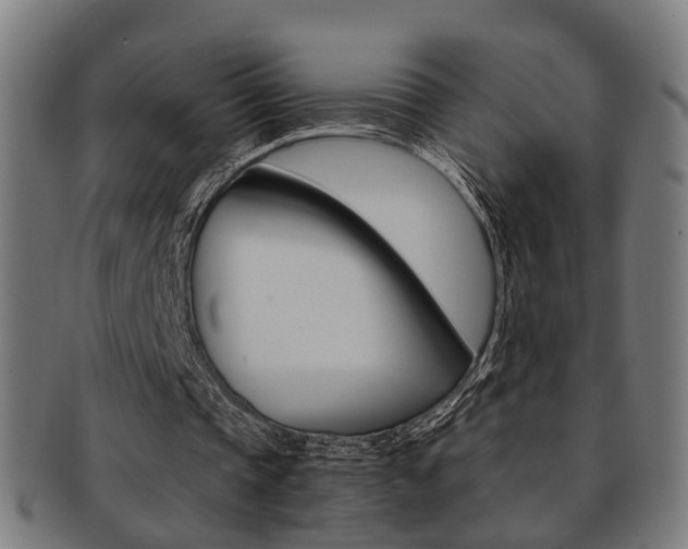 X0000091900337200709051108