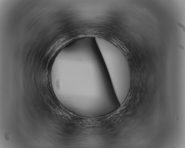 X0000091900338200709051108