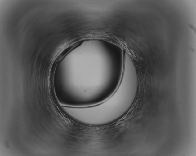 X0000091900340200709051108