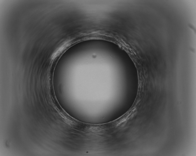 X0000091900341200709051108