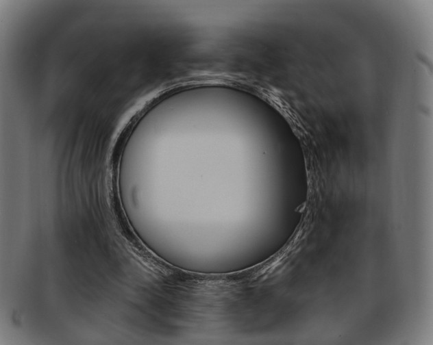 X0000091900342200709051108