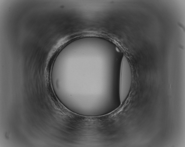 X0000091900343200709051108