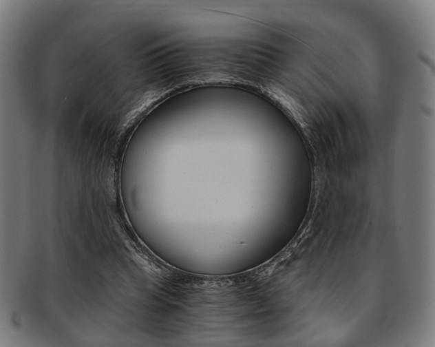 X0000091900345200709051108