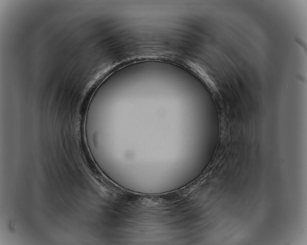 X0000091900346200709051108