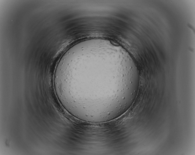 X0000091900347200709051108