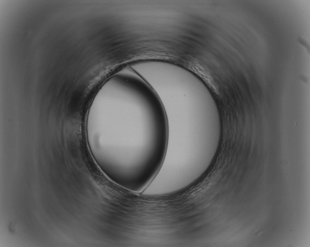 X0000091900348200709051108