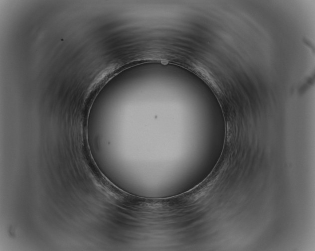 X0000091900349200709051108