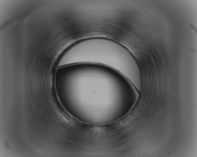 X0000091900350200709051108