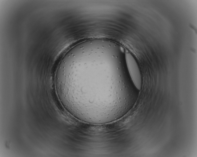 X0000091900351200709051108