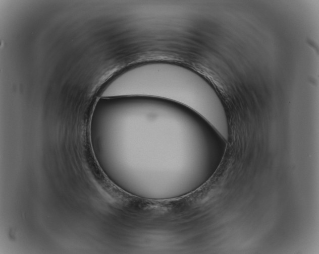 X0000091900352200709051108