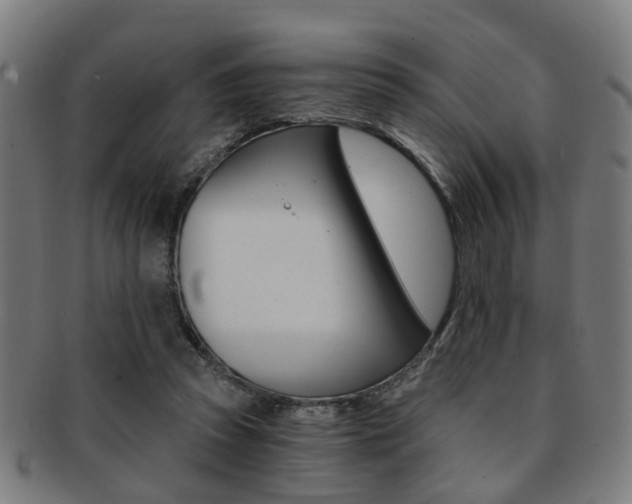 X0000091900353200709051108