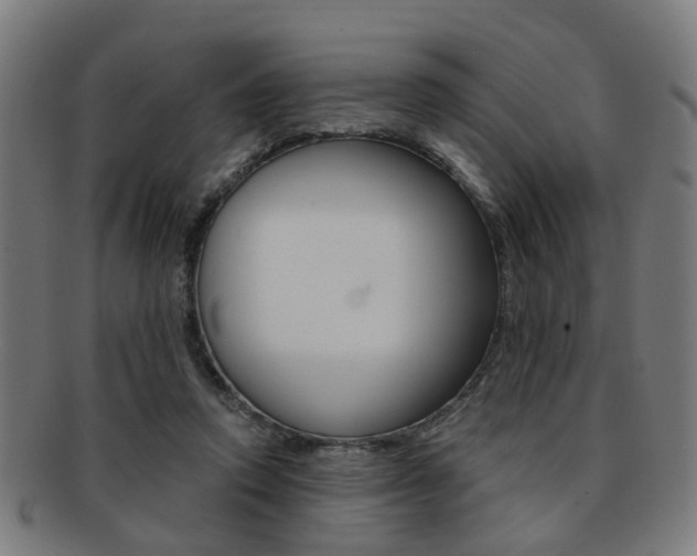 X0000091900354200709051108