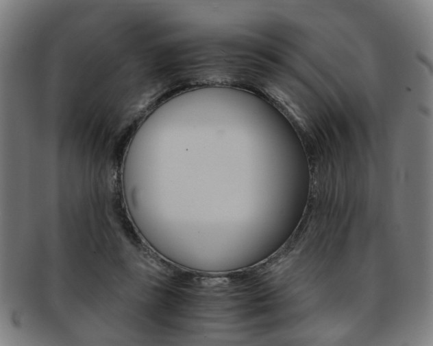 X0000091900355200709051108