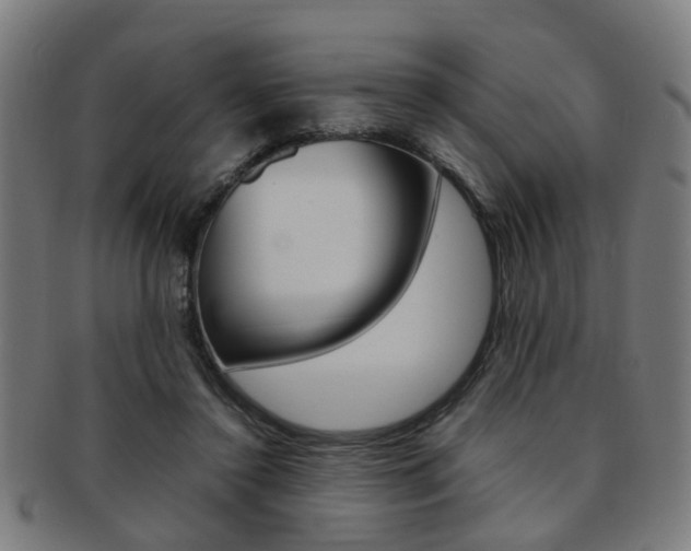 X0000091900356200709051108
