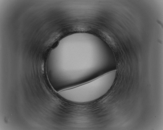 X0000091900358200709051108