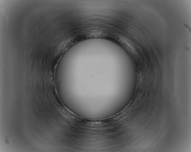 X0000091900361200709051108