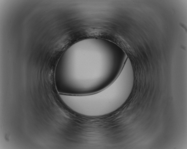 X0000091900364200709051108
