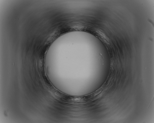 X0000091900365200709051108