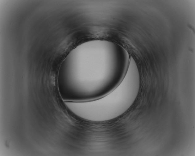 X0000091900368200709051108
