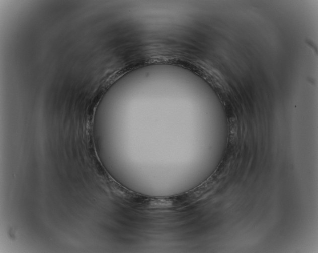 X0000091900369200709051108