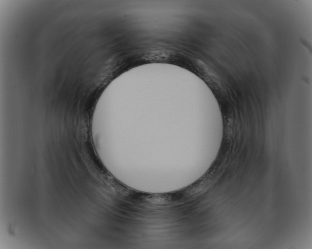 X0000091900370200709051108