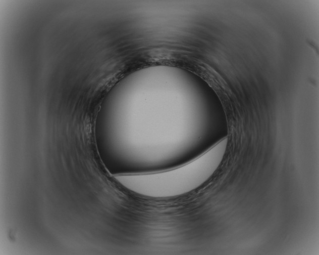 X0000091900372200709051108