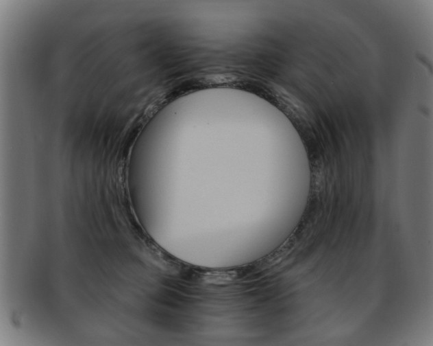 X0000091900373200709051108