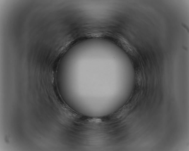 X0000091900374200709051108