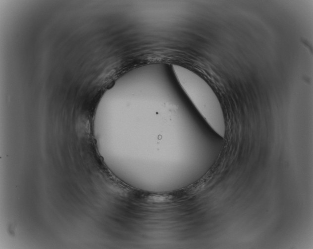 X0000091900375200709051108