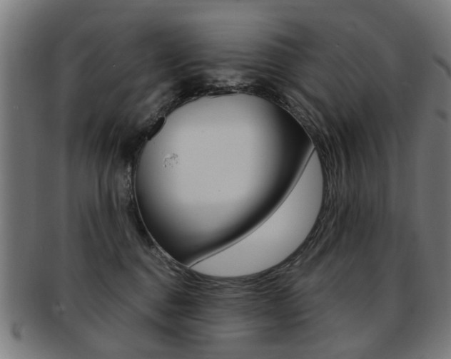 X0000091900376200709051108
