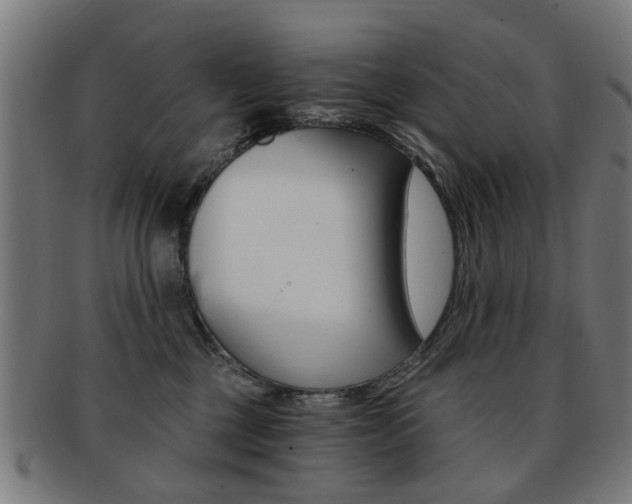 X0000091900377200709051108