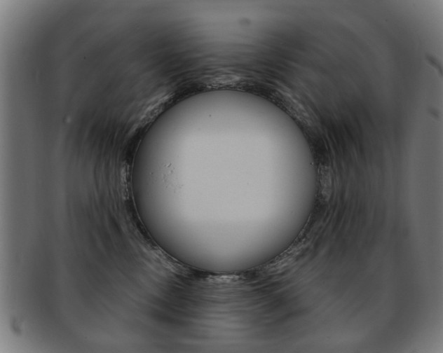 X0000091900378200709051108