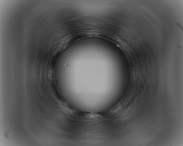 X0000091900379200709051108
